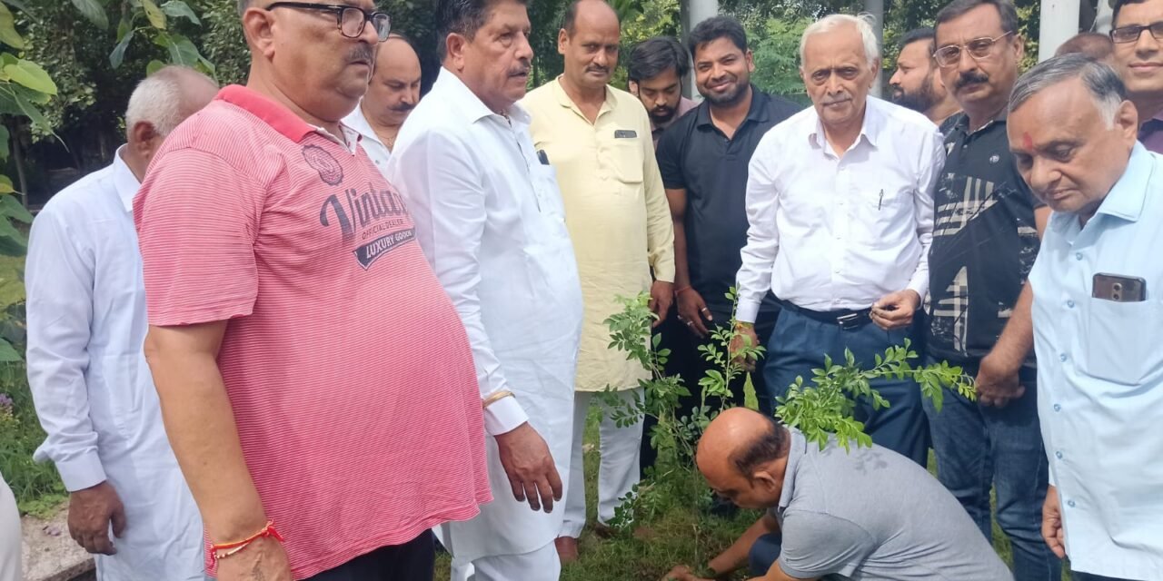 पानीपत ग्रीन मिशन: वार्ड 9 और 10 में हुआ पौधारोपण, तीन महीने तक चलेगा अभियान