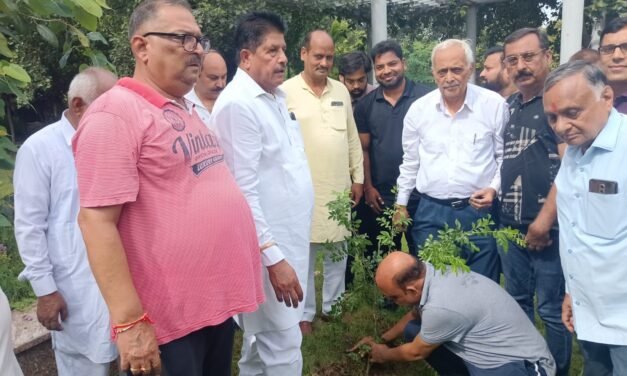 पानीपत ग्रीन मिशन: वार्ड 9 और 10 में हुआ पौधारोपण, तीन महीने तक चलेगा अभियान