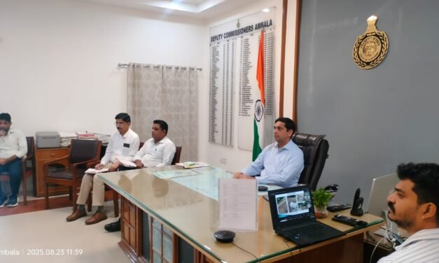 स्वास्थ्य सेवाओं में लोगों को और बेहतर सुविधाएं मिलें, इसके लिए वीसी के माध्यम से जो दिशा-निर्देश मिलें है उसकी अनुपालना के तहत कार्य किए जा रहें हैं:डीसी