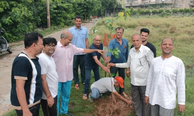 सेक्टर 3 में गणमान्य लोगों ने किया पौधारोपण