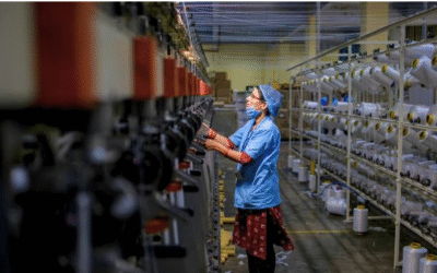 तिरुपुर, नोएडा, सूरत की निर्यात इकाइयों ने उत्पादन रोका