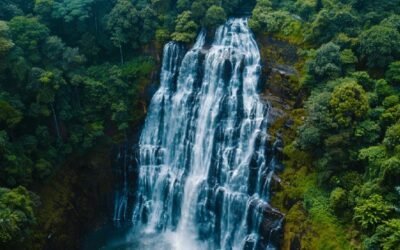 गोवा में झरनों के पास जाने पर कोई प्रतिबंध नहीं : सावंत