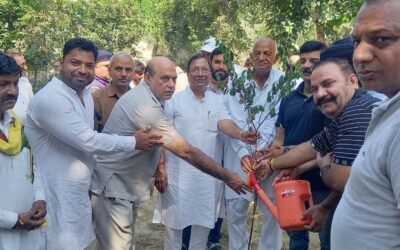  पानीपत में पौधारोपण अभियान के तहत 2,000 से अधिक पौधे लगाए गए