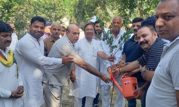  पानीपत में पौधारोपण अभियान के तहत 2,000 से अधिक पौधे लगाए गए