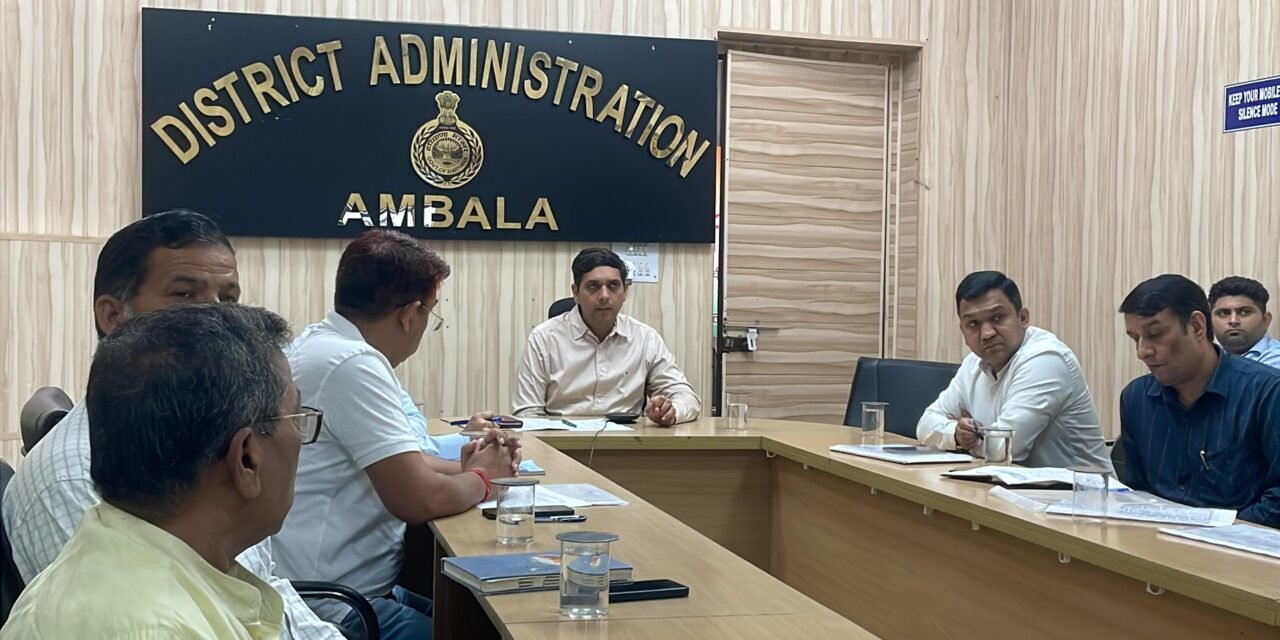 डीसी ने सम्बन्धित विभागों के अधिकारियों की एक बैठक लेकर उन्हें निर्देश दिए कि जहां पर भी सडकों पर गड्ढे हैं उन गड्ढों को प्राथमिकता के आधार पर भरना सुनिश्चित करें