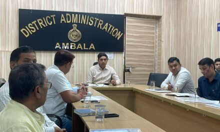 डीसी ने सम्बन्धित विभागों के अधिकारियों की एक बैठक लेकर उन्हें निर्देश दिए कि जहां पर भी सडकों पर गड्ढे हैं उन गड्ढों को प्राथमिकता के आधार पर भरना सुनिश्चित करें