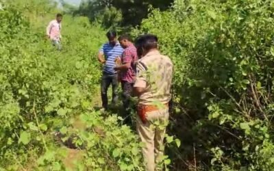 झाड़ियों में मिला अज्ञात युवक का शव