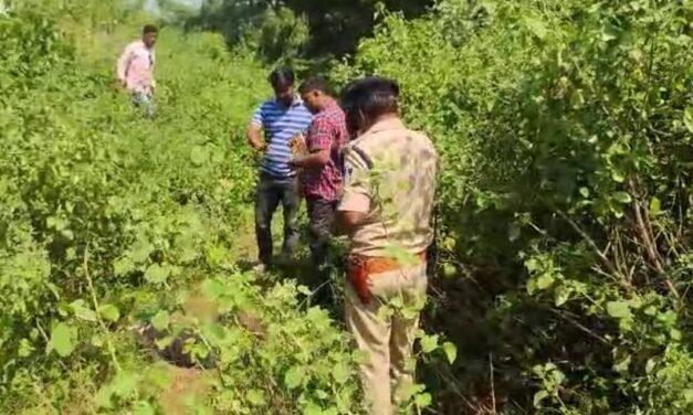 झाड़ियों में मिला अज्ञात युवक का शव