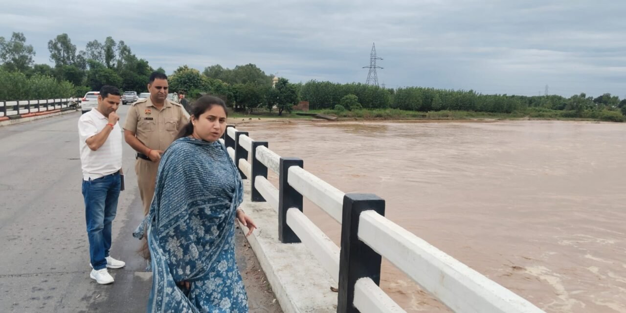 वर्षा के दौरान तथा नदियों में पानी आने के समय नदियों में प्रवेश न करें नागरिक-एसडीएम शिवजीत भारती