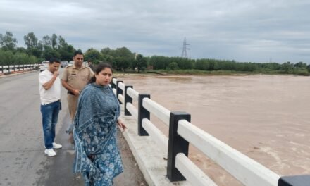 वर्षा के दौरान तथा नदियों में पानी आने के समय नदियों में प्रवेश न करें नागरिक-एसडीएम शिवजीत भारती