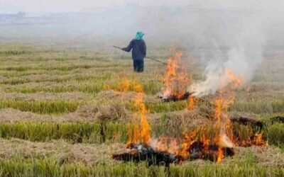 जिला अंबाला में धान की कटाई एवं जीरी के बाद खेतो में पड़े अवशेष जलाने पर पूर्णत: प्रतिबंध लगाया गया:डीसी