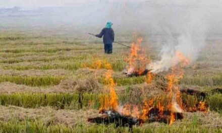 जिला अंबाला में धान की कटाई एवं जीरी के बाद खेतो में पड़े अवशेष जलाने पर पूर्णत: प्रतिबंध लगाया गया:डीसी