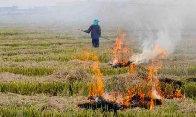 जिला अंबाला में धान की कटाई एवं जीरी के बाद खेतो में पड़े अवशेष जलाने पर पूर्णत: प्रतिबंध लगाया गया:डीसी