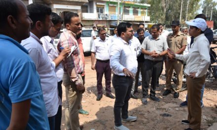 डीसी प्रीति ने किया राजौंद का दौरा,