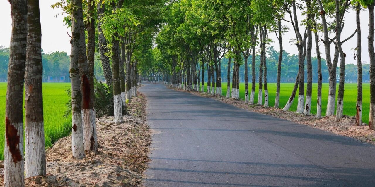 हैवी ट्रैफिक के डिजाइन अनुसार नहीं बन पा रही सड़कें, समय से पहले टूटने से फील्ड के अधिकारियों पर उठ रहे लगातार सवाल