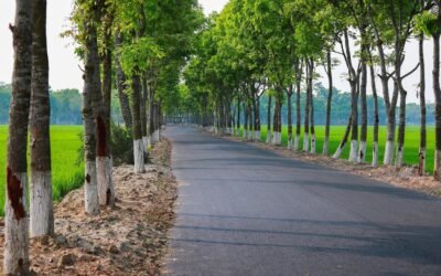 हैवी ट्रैफिक के डिजाइन अनुसार नहीं बन पा रही सड़कें, समय से पहले टूटने से फील्ड के अधिकारियों पर उठ रहे लगातार सवाल