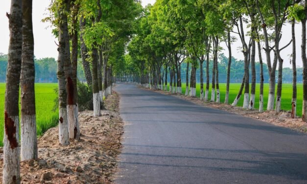 हैवी ट्रैफिक के डिजाइन अनुसार नहीं बन पा रही सड़कें, समय से पहले टूटने से फील्ड के अधिकारियों पर उठ रहे लगातार सवाल