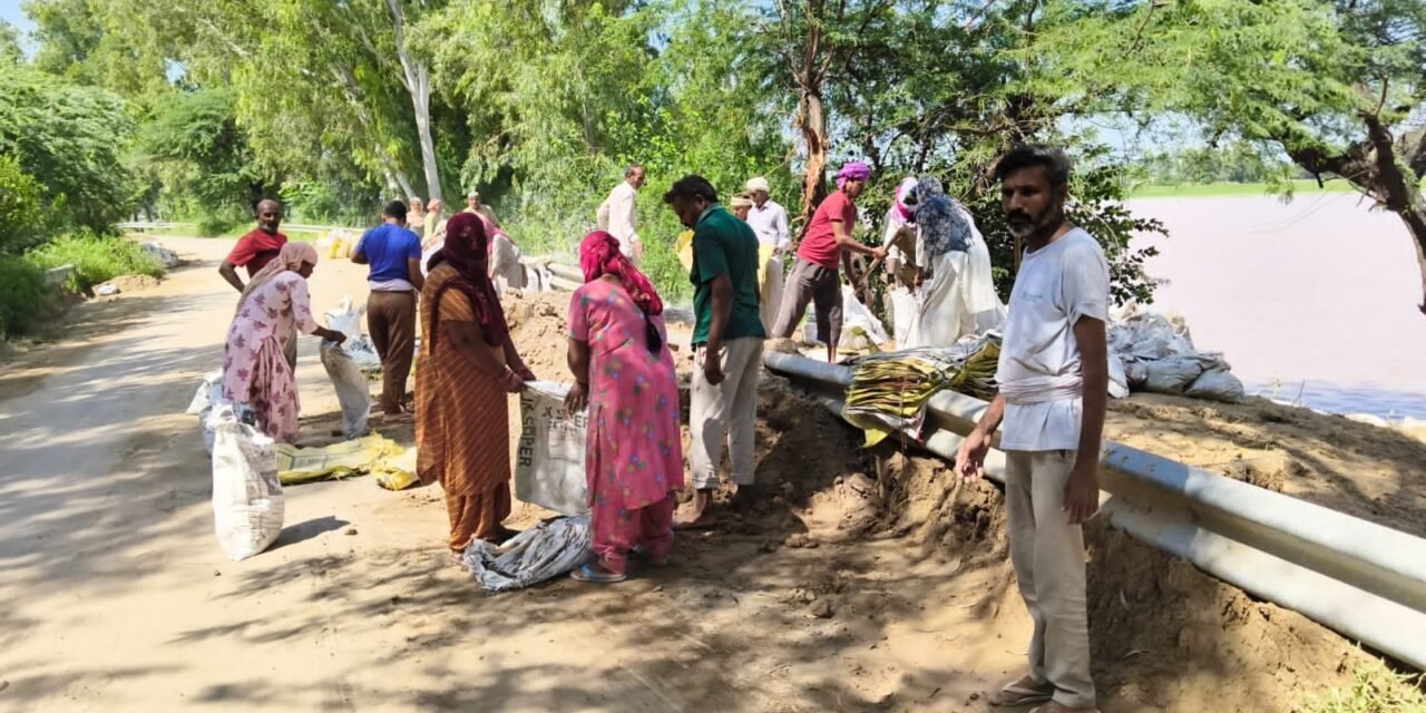 घग्गर नदी व ड्रेन के तटबंधों की सुरक्षा को लेकर प्रशासन लगातार बरत रहा सतर्कता-जलस्तर स्थिर, लेकिन अभी सजग व सतर्क रहने की जरूरत, दिन-रात निगरानी कर रही टीमें