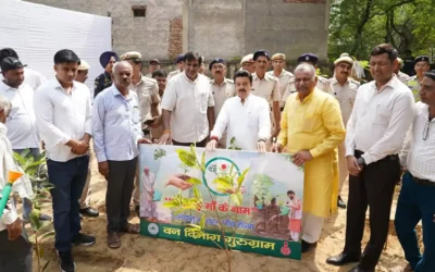 सेवा पखवाड़े में हरियाणा के प्रत्येक जिले में स्थापित किए जाएंगे नमो वन