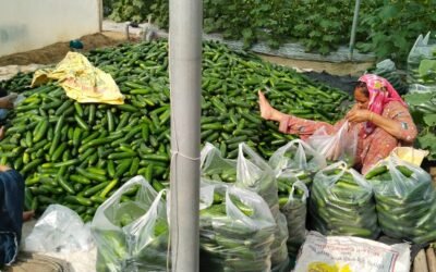 शैक्षणिक संस्थानों के 100 मीटर के दायरे में तंबाकू बिक्री पर पूर्ण प्रतिबंध : एसपी सिद्धांत जैन