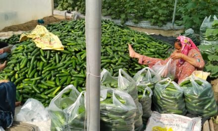 शैक्षणिक संस्थानों के 100 मीटर के दायरे में तंबाकू बिक्री पर पूर्ण प्रतिबंध : एसपी सिद्धांत जैन