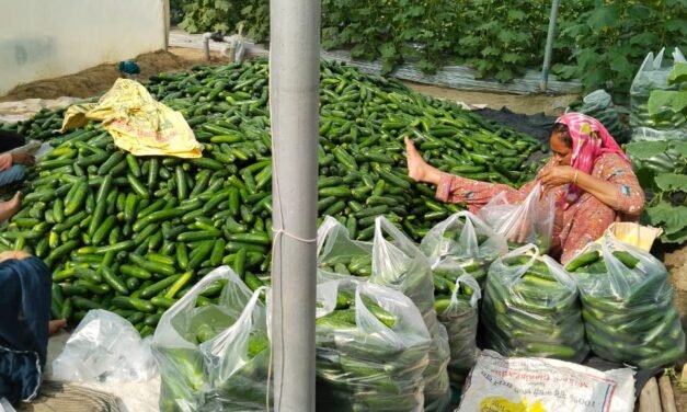 शैक्षणिक संस्थानों के 100 मीटर के दायरे में तंबाकू बिक्री पर पूर्ण प्रतिबंध : एसपी सिद्धांत जैन