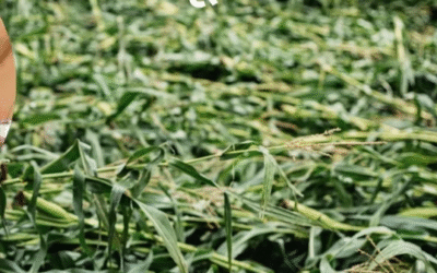 सीजेएम प्रवीण अपील की सभी जिला निवासियों से अनुरोध किया की वे अपने आस-पास के लोगों को क्षतिपूर्ति पोर्टल के बारे में जानकारी दें