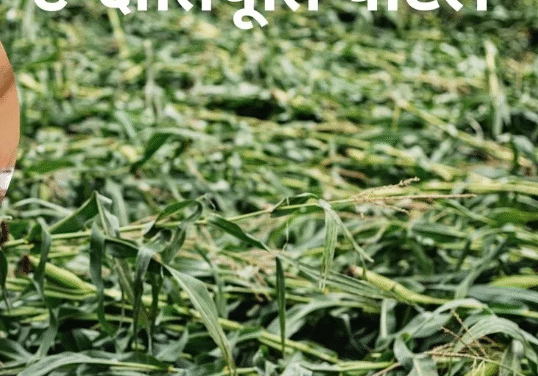 सीजेएम प्रवीण अपील की सभी जिला निवासियों से अनुरोध किया की वे अपने आस-पास के लोगों को क्षतिपूर्ति पोर्टल के बारे में जानकारी दें