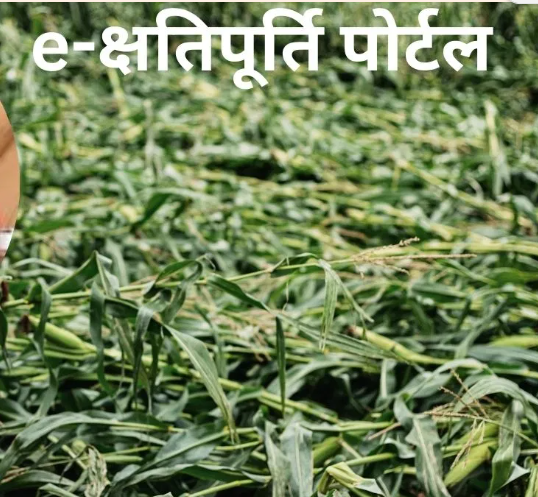 सीजेएम प्रवीण अपील की सभी जिला निवासियों से अनुरोध किया की वे अपने आस-पास के लोगों को क्षतिपूर्ति पोर्टल के बारे में जानकारी दें