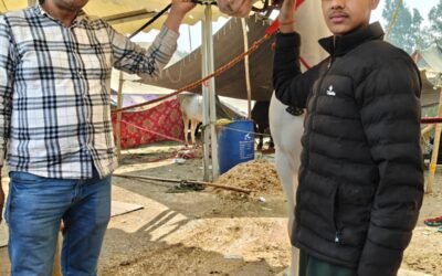 लहरियां के पूर्व सरपंच का ‘बादशाह’ घोड़ा राज्य स्तरीय मेले में द्वितीय, 50 लाख लग चुकी कीमत