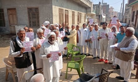 सर्व बूरा सिरोही खाप का 13वां स्थापना दिवस 2 मार्च को कालियावास में