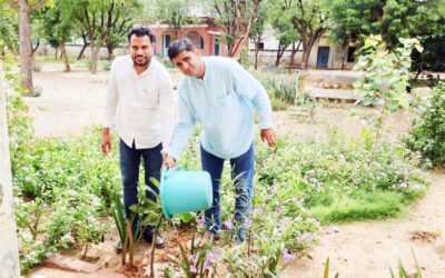 बाढड़ा में वन महोत्सव पर पौधारोपण अभियान, पर्यावरण संरक्षण का दिया संदेश