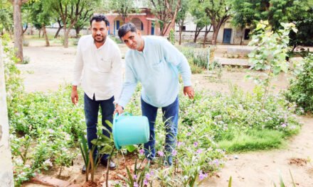 बाढड़ा में वन महोत्सव पर पौधारोपण अभियान, पर्यावरण संरक्षण का दिया संदेश